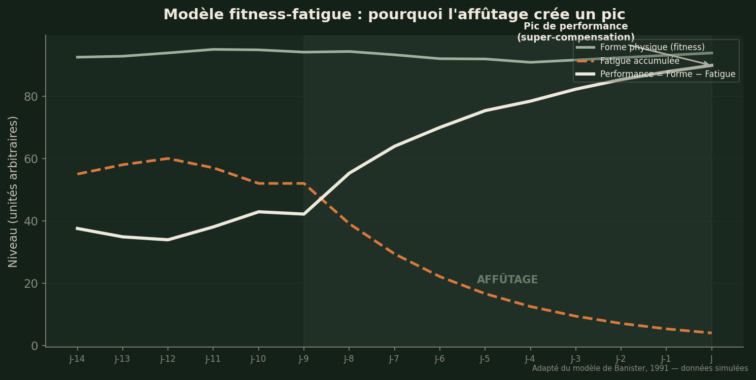 Modèle fitness-fatigue — pourquoi l'affûtage crée un pic de performance