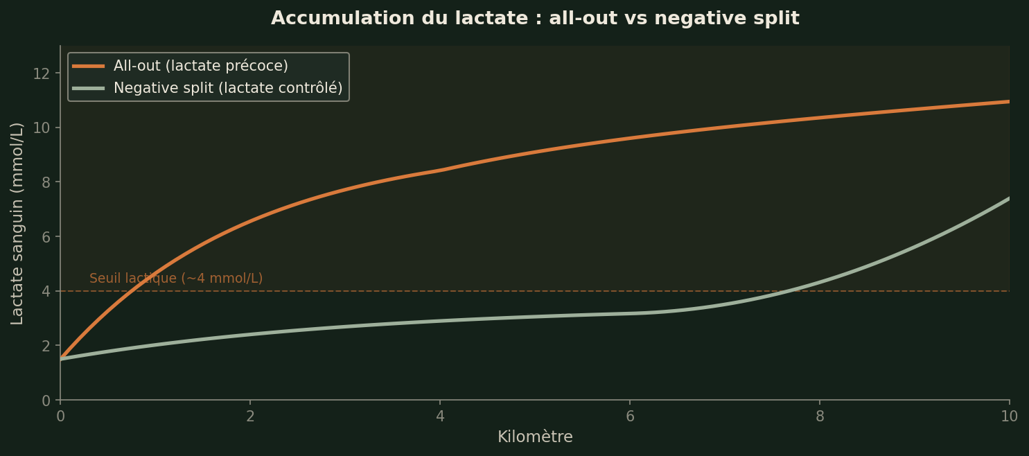Accumulation du lactate selon la stratégie d'allure — le all-out franchit le seuil dès le km 2