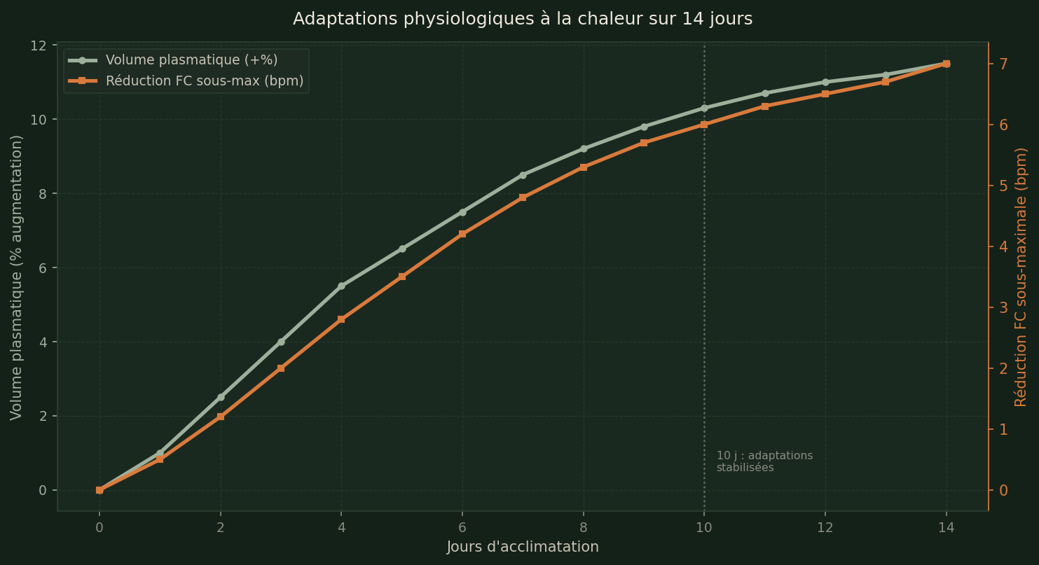 Adaptations physiologiques à la chaleur sur 14 jours — FC et volume plasmatique