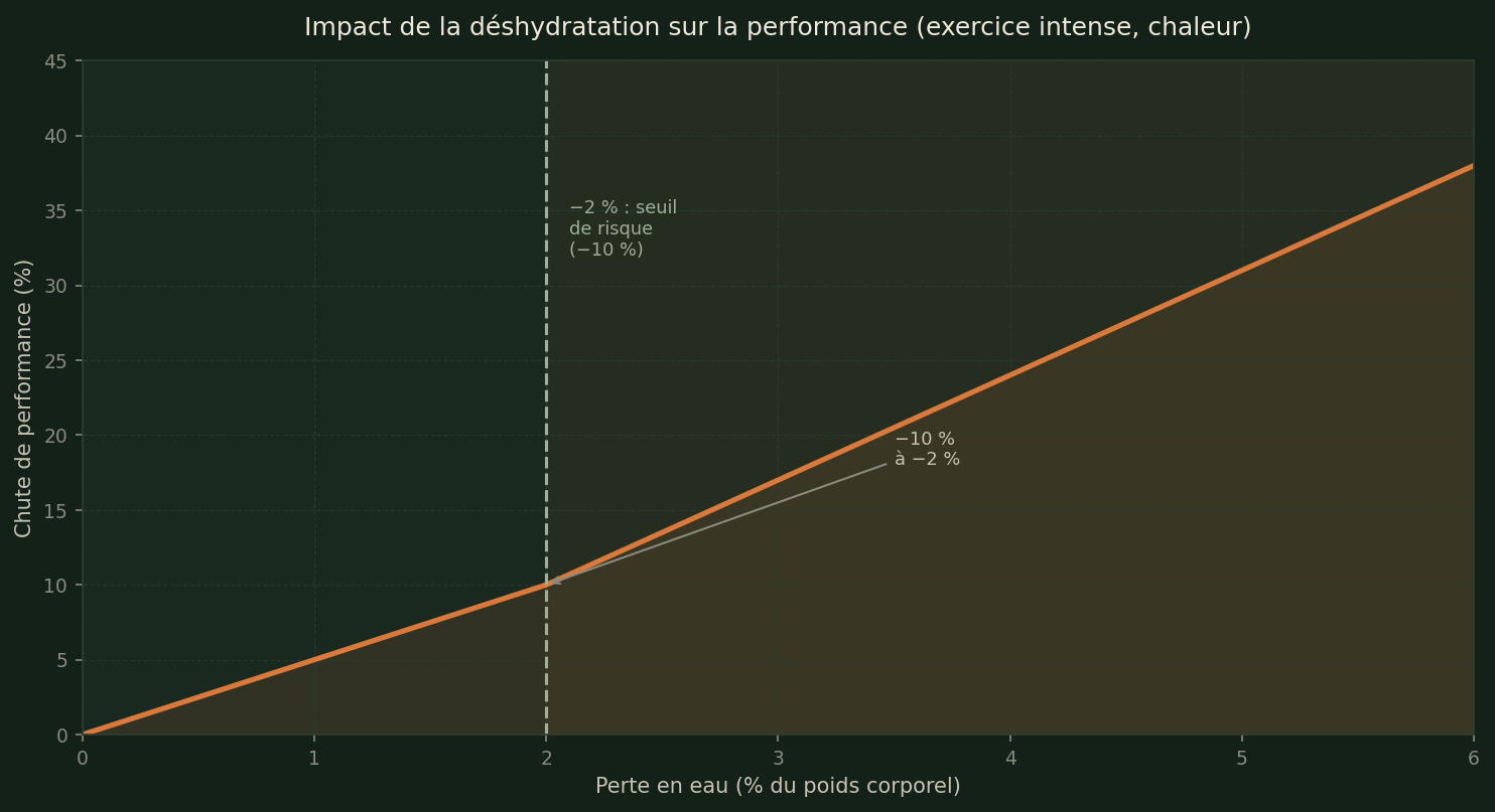 Impact de la déshydratation sur la performance (exercice intense, chaleur)