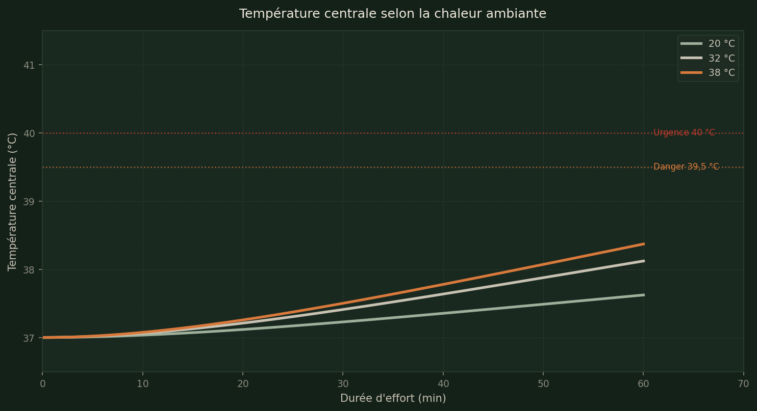 Température centrale selon la chaleur ambiante — divergence rapide au-delà de 30 min