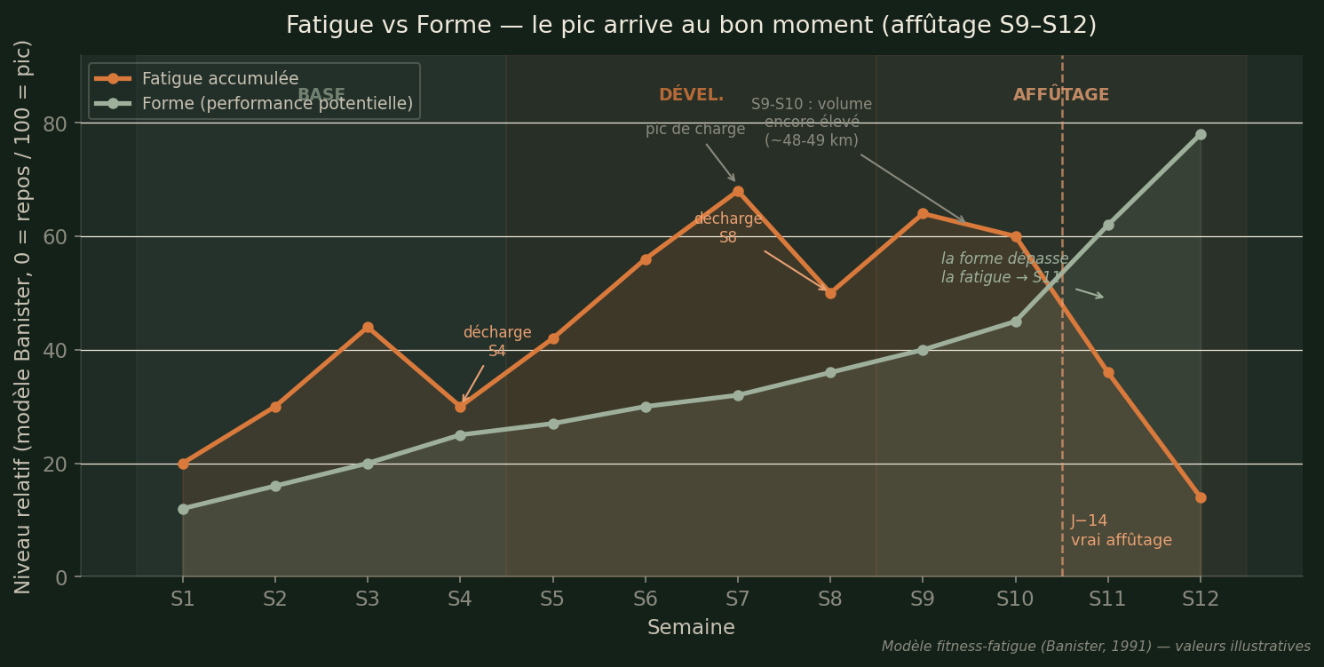 Courbe croisée fatigue / forme sur 12 semaines — le pic de performance arrive à S11-S12
