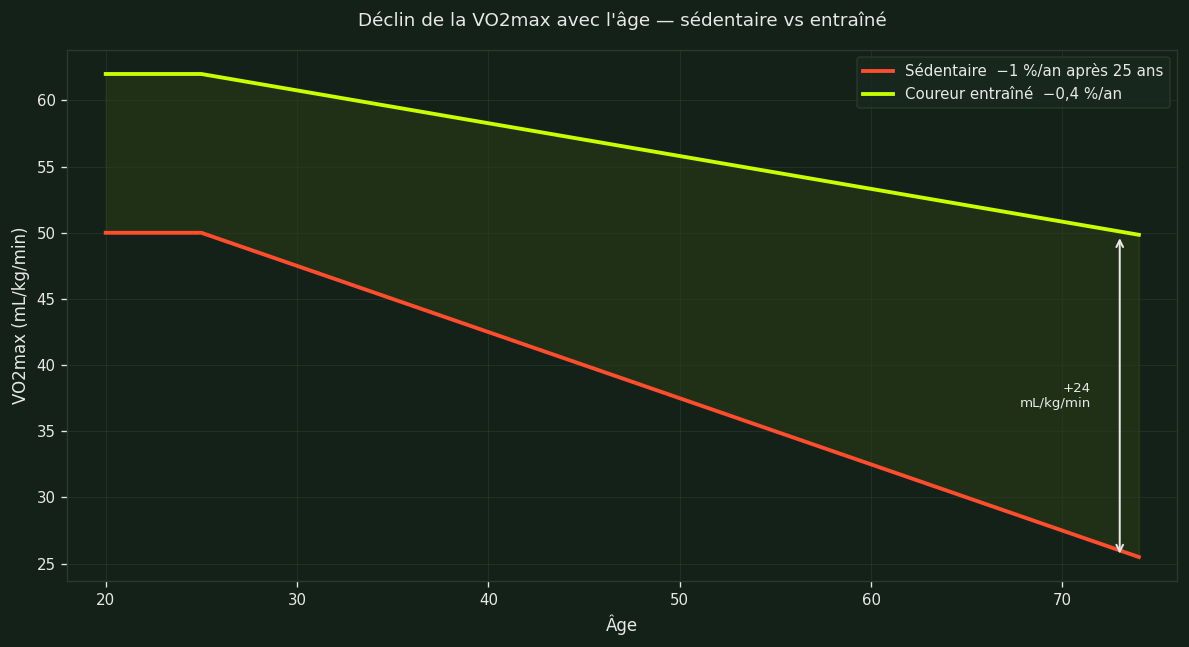 Déclin de la VO2max avec l'âge — sédentaire vs coureur entraîné