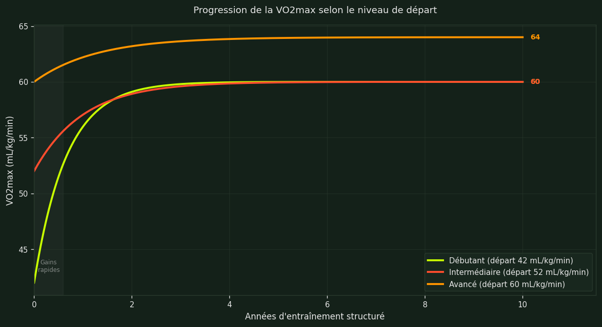 Progression de la VO2max selon les années d'entraînement