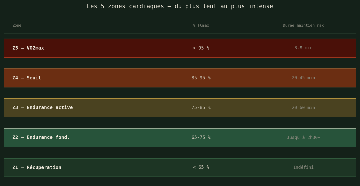 Les 5 zones cardiaques — du plus lent au plus intense